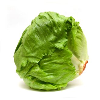 Lechuga