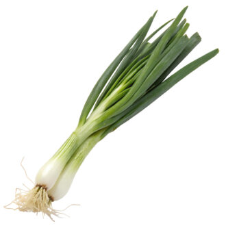 Cebolla Cambray