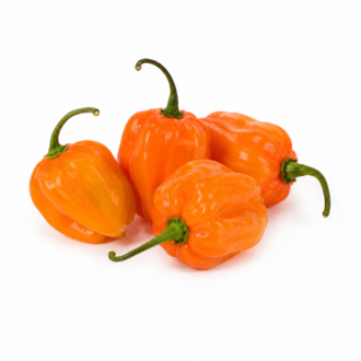 Chile Habanero