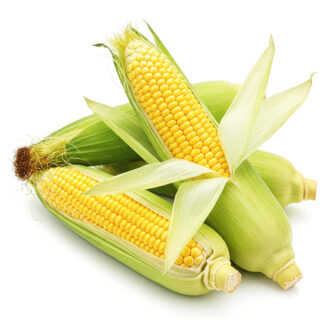 Elote