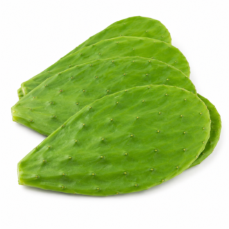Nopal