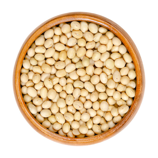Soya